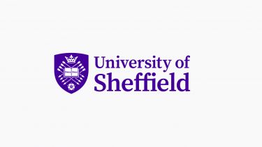 University of Sheffield Fees 2024