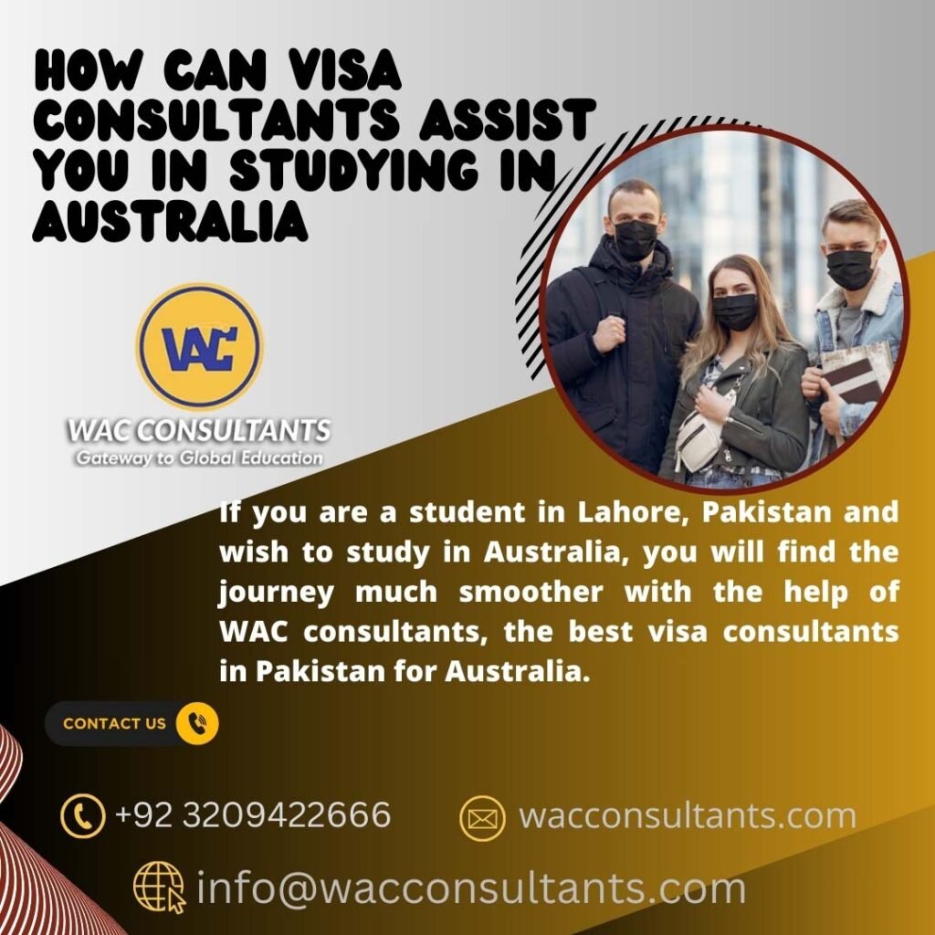 visa consultants