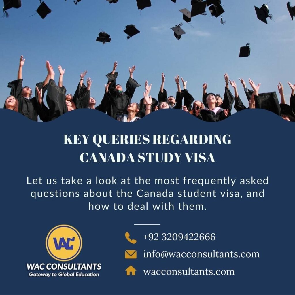 Best Study Abroad Consultant