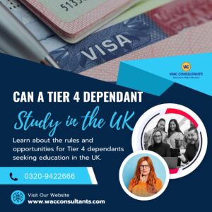 Can a Tier 4 Dependant Study in the UK